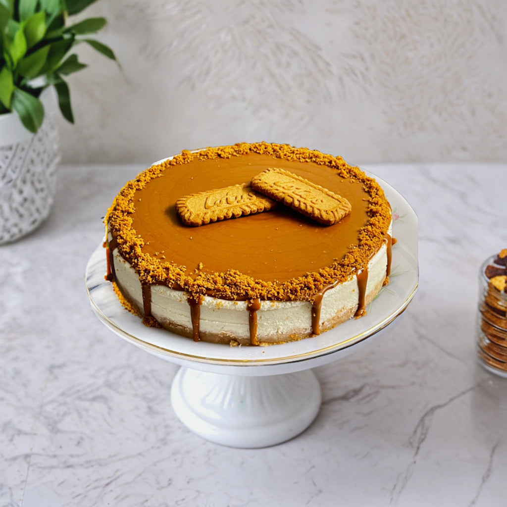 Lotus Biscoff Cheese Cake